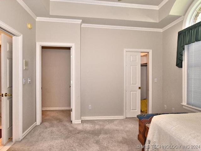 carpeted bedroom featuring crown molding and a raised ceiling