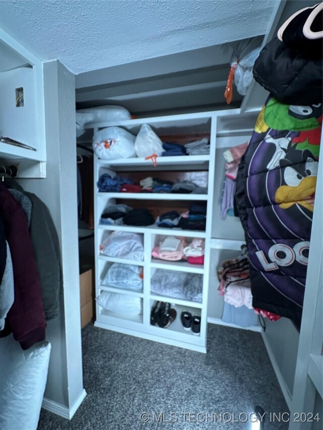 spacious closet with carpet floors