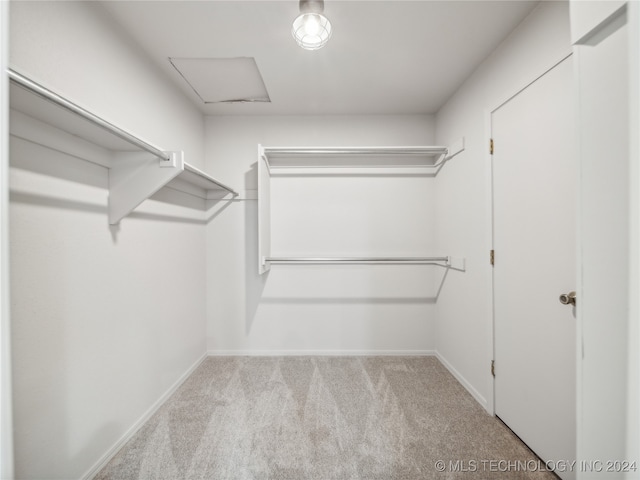 spacious closet featuring light colored carpet