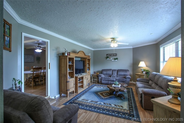 living room featuring wood-type flooring, ornamental molding, and a textured ceiling