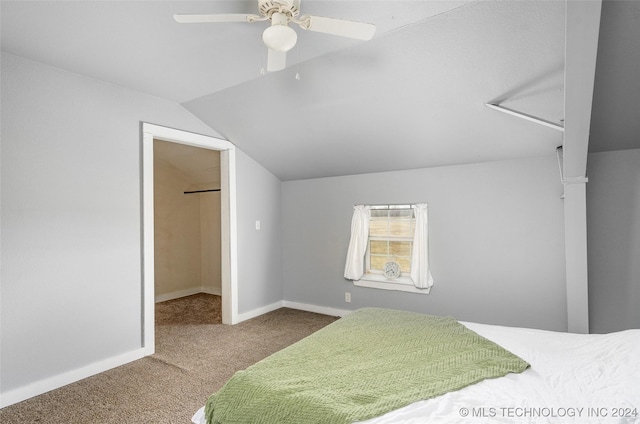 bedroom featuring lofted ceiling, ceiling fan, carpet, a spacious closet, and a closet