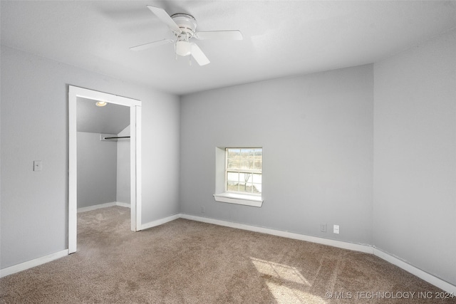 unfurnished bedroom featuring a walk in closet, a closet, ceiling fan, and carpet flooring