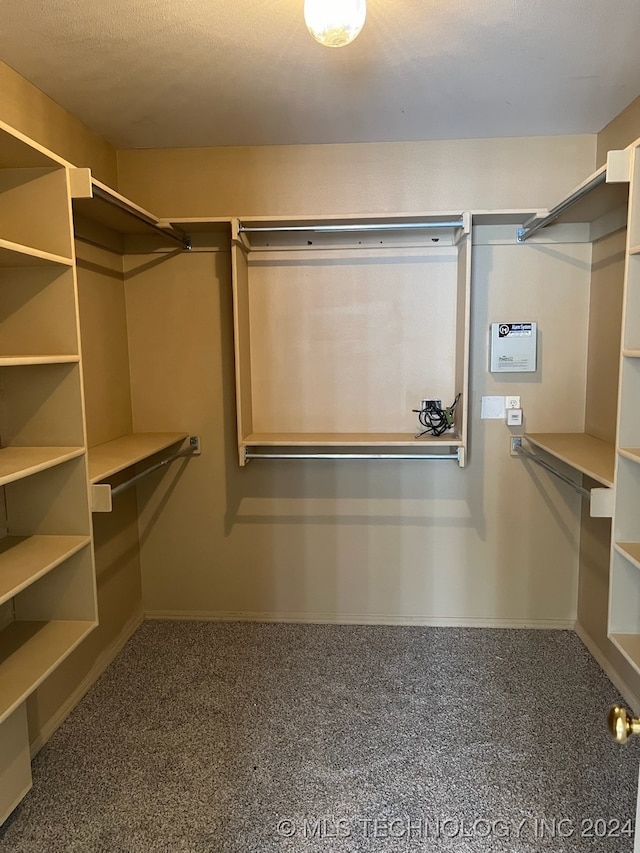 spacious closet featuring carpet