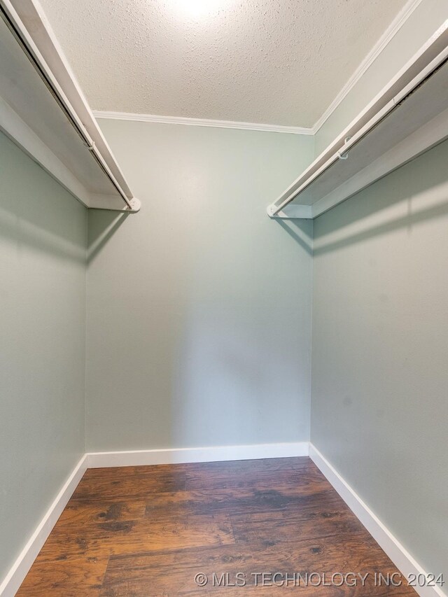 walk in closet with dark hardwood / wood-style flooring