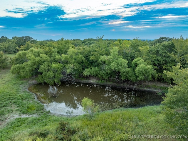 8248 E 122nd Rd, Wetumka, OK 74883 - water view with a heavily wooded area