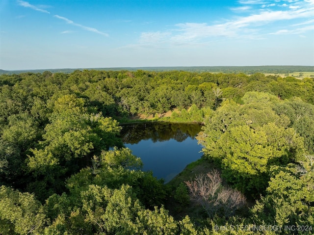 8248 E 122nd Rd, Wetumka, OK 74883 - aerial view of property's location with a forest and a large body of water