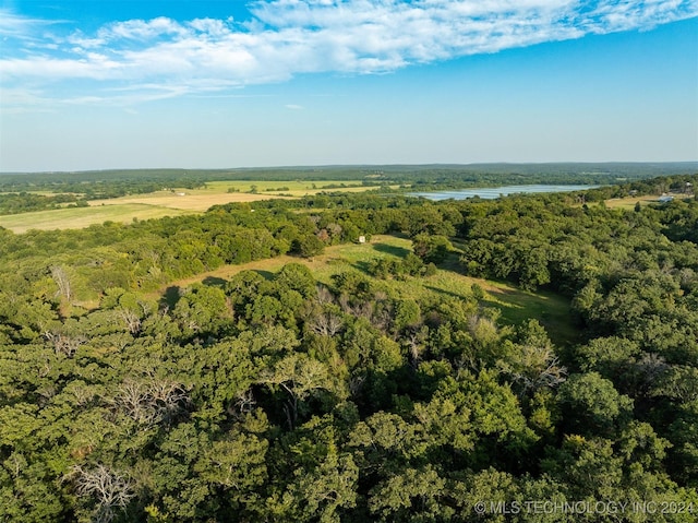 8248 E 122nd Rd, Wetumka, OK 74883 - aerial view of property and surrounding area with a forest