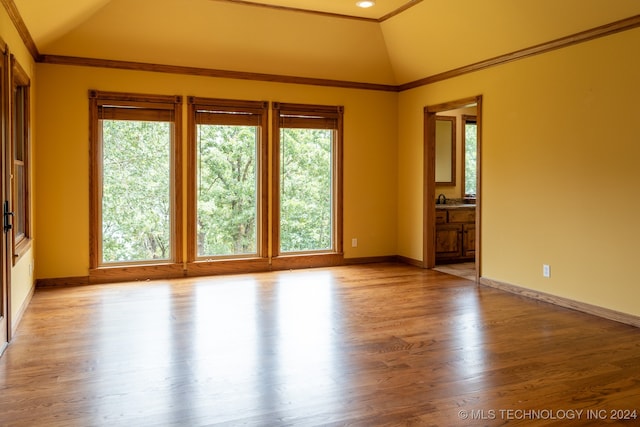 unfurnished room with a healthy amount of sunlight, lofted ceiling, and light wood-type flooring