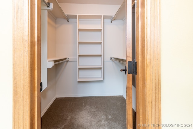 walk in closet with dark colored carpet