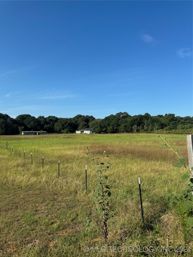 view of local wilderness with a rural view