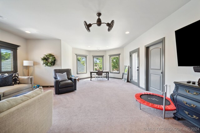 living room with carpet