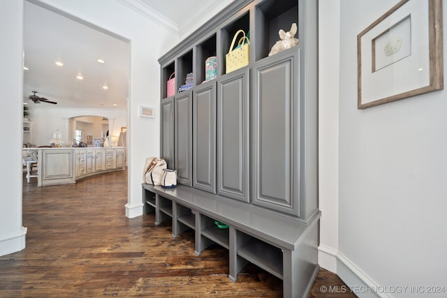 mudroom featuring ceiling fan, dark hardwood / wood-style floors, and ornamental molding