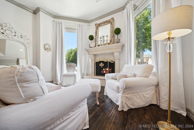 living area featuring wood-type flooring and ornamental molding