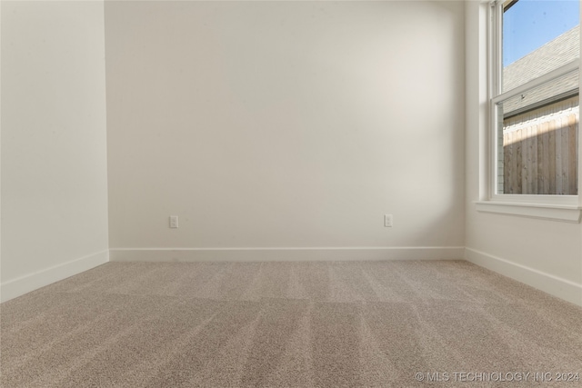 spare room with carpet floors