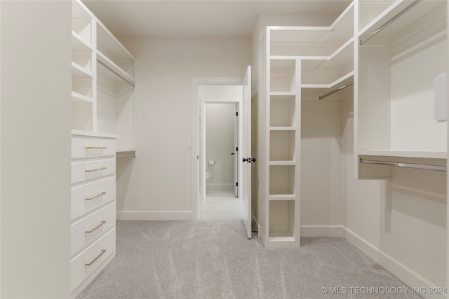 spacious closet with light colored carpet