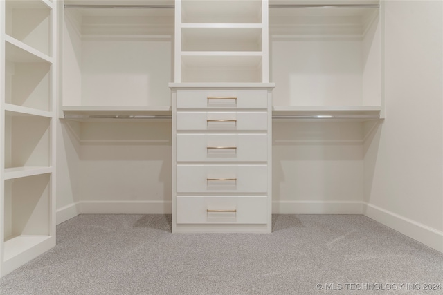 walk in closet with light carpet