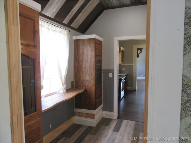 interior space with lofted ceiling, dark hardwood / wood-style floors, a healthy amount of sunlight, and range