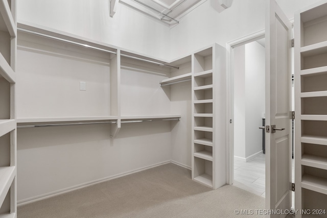 spacious closet featuring light colored carpet