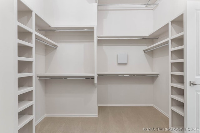 walk in closet featuring light colored carpet