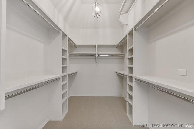 spacious closet with carpet floors