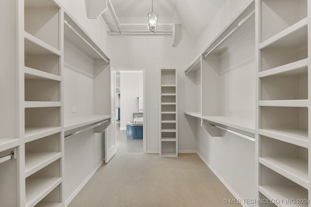 walk in closet with light colored carpet