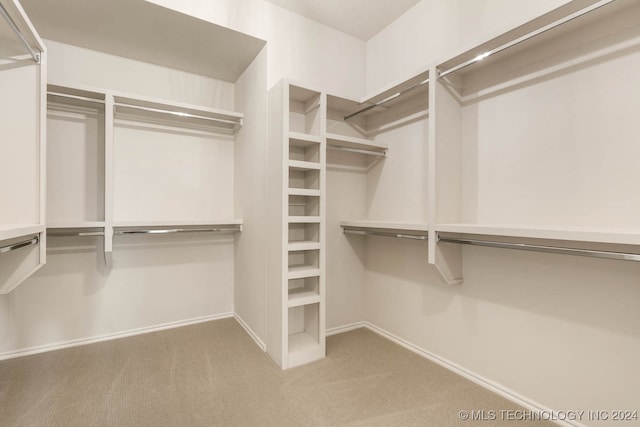 walk in closet with carpet flooring