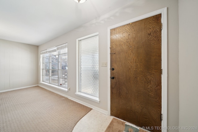 doorway to outside with carpet and wood walls