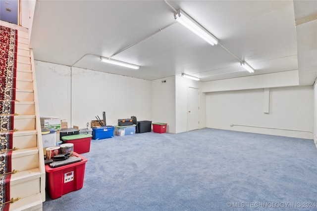 basement featuring carpet floors