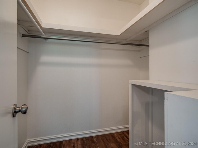 spacious closet with hardwood / wood-style floors