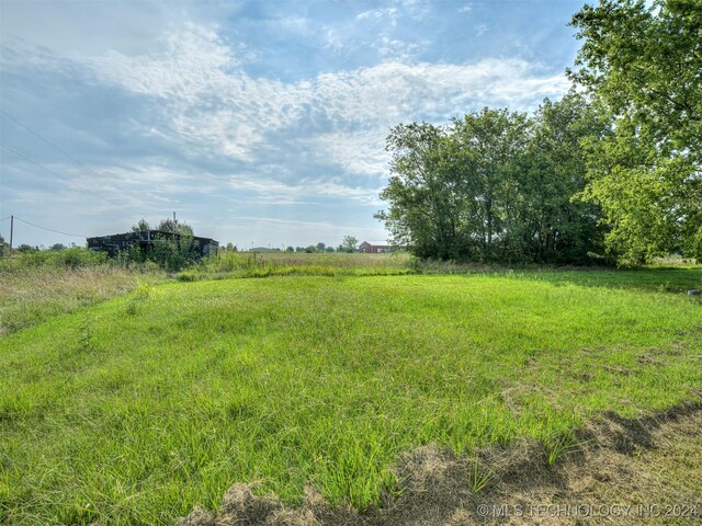 view of yard featuring a rural view