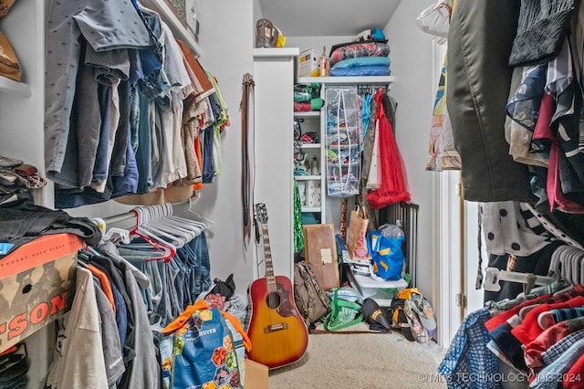 walk in closet featuring carpet floors