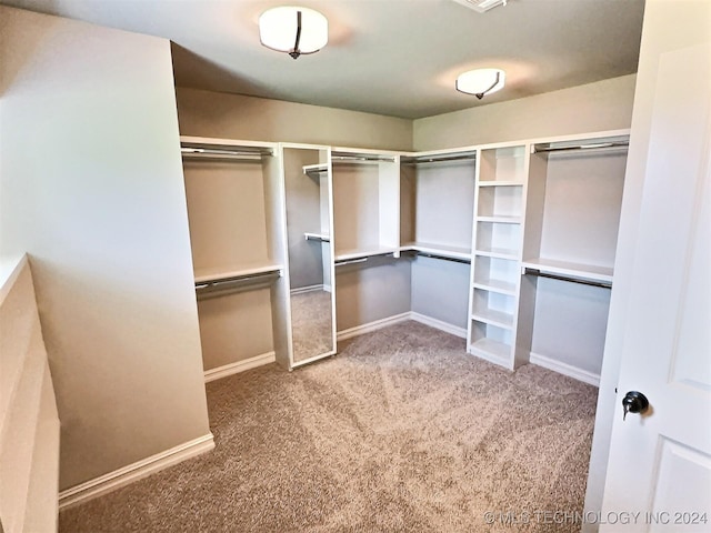 spacious closet with carpet floors