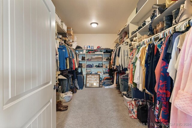 spacious closet featuring carpet flooring