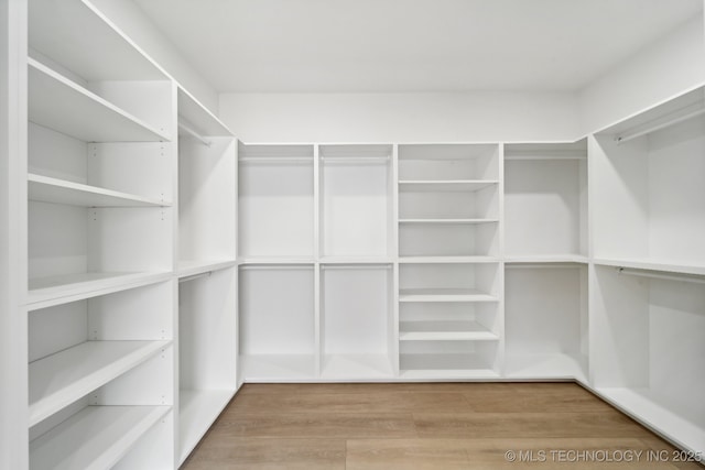 spacious closet featuring wood-type flooring