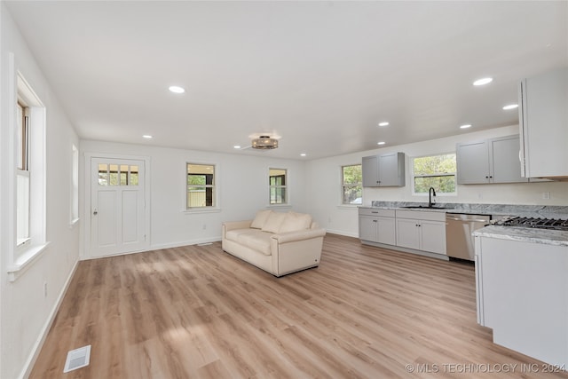 kitchen featuring light hardwood / wood-style flooring, a healthy amount of sunlight, sink, and stainless steel dishwasher