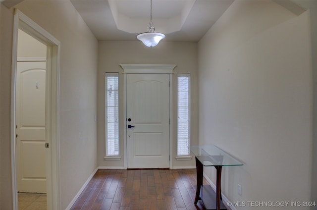 foyer with a healthy amount of sunlight and hardwood / wood-style flooring