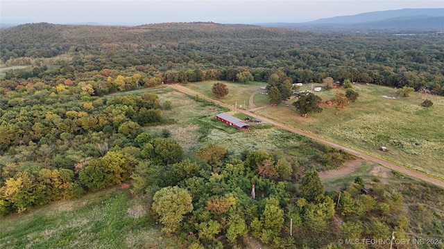 drone / aerial view featuring a mountain view