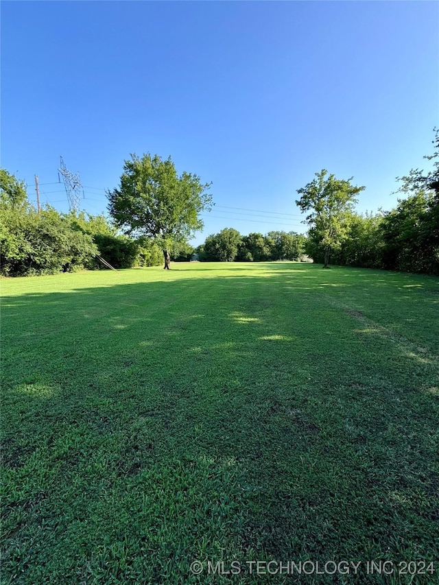 view of yard