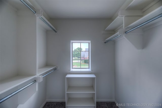 spacious closet with carpet floors