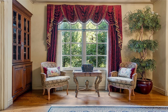 living area featuring hardwood / wood-style flooring