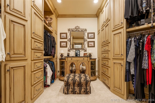 spacious closet featuring light carpet