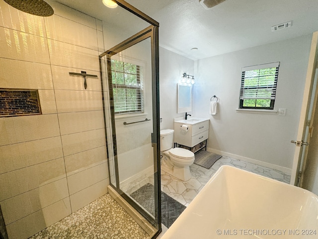 full bathroom with plus walk in shower, a healthy amount of sunlight, toilet, and vanity