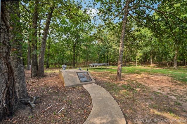 surrounding community featuring a trampoline