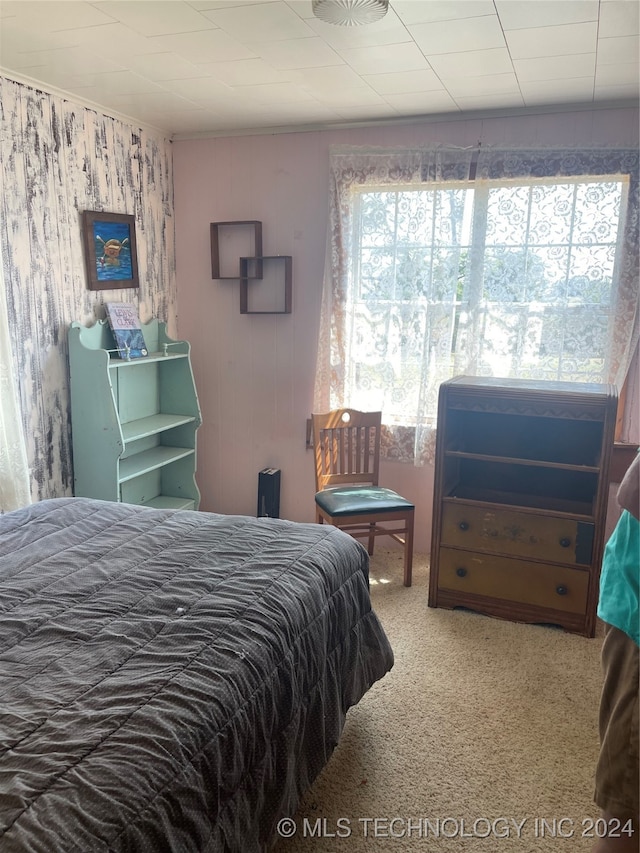 bedroom featuring carpet