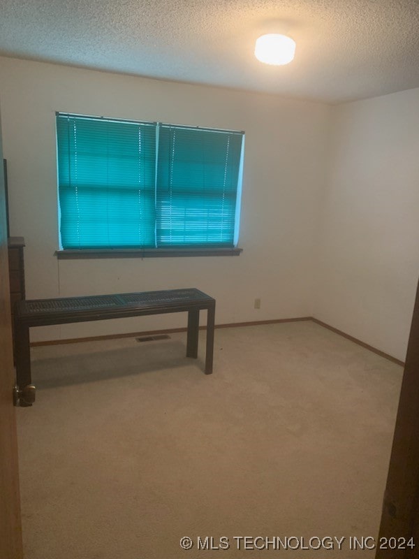 unfurnished room featuring carpet and a textured ceiling