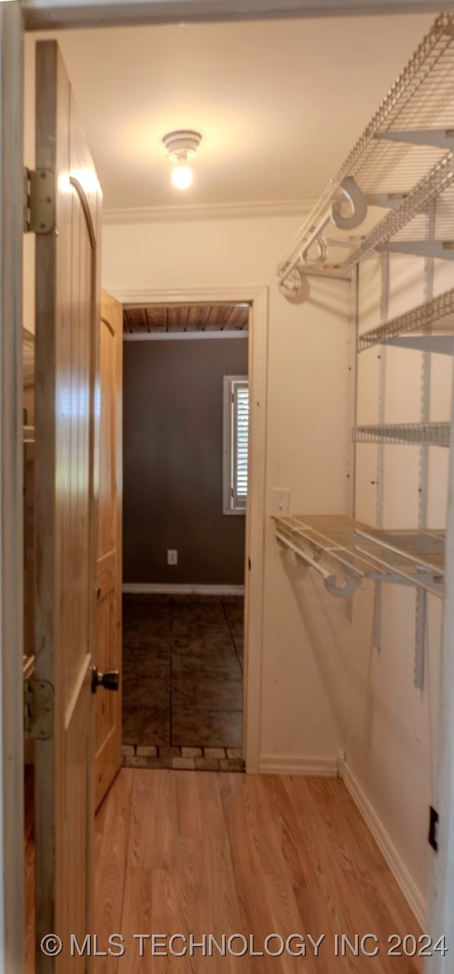 walk in closet with wood-type flooring