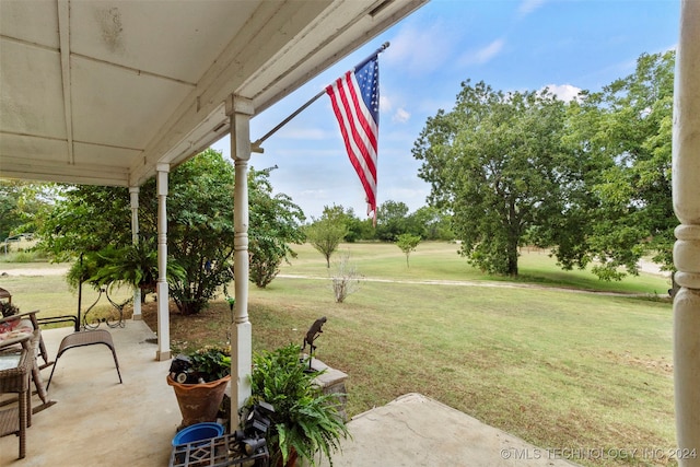 view of yard featuring a patio