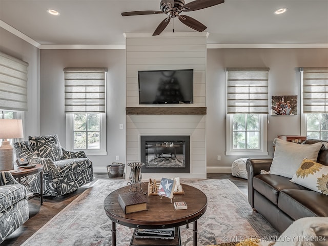 living room with plenty of natural light, dark hardwood / wood-style floors, and a fireplace