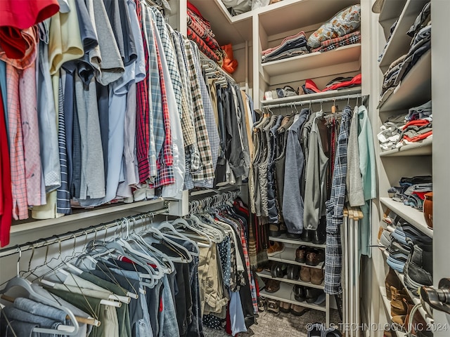 spacious closet featuring carpet flooring