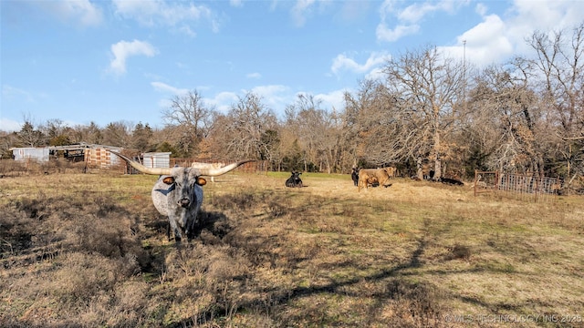 view of yard with a rural view